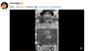 王晨正