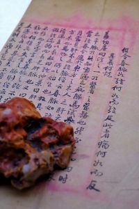 清代最后一任太医院掌印御医任锡庚御一手稿细部